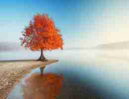 seo的‍工‍具‍有​哪﻿些​功‍能‌